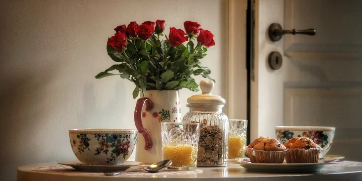 Štýlový apartmán v centre historickej Banskej Štiavnice: moderný dizajn, plne vybavená kuchyňa a kúpeľňa, pet friendly