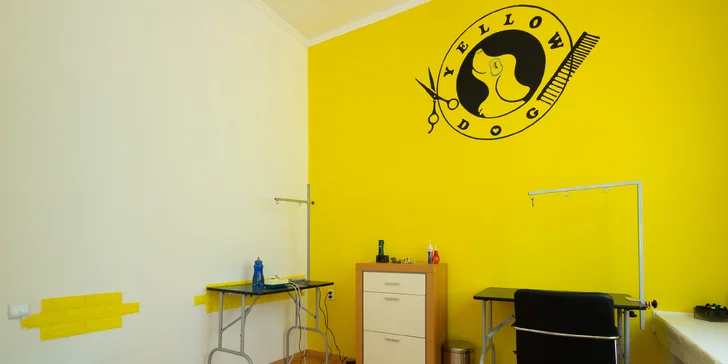 Strihanie, kúpanie či česanie pre psíka v salóne Yellow Dog