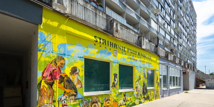 Strihanie, kúpanie či česanie pre psíka v salóne Yellow Dog