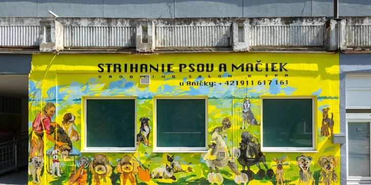 Strihanie, kúpanie či česanie pre psíka v salóne Yellow Dog