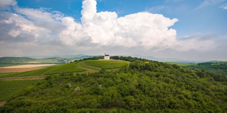 Luxusný oddych v historickom kaštieli uprostred viníc Tokaja: Polpenzia nabitá miestnymi dobrotami aj welcome drink