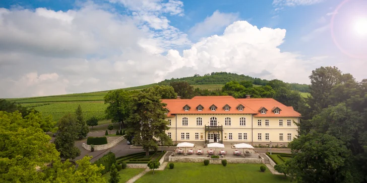 Luxusný oddych v historickom kaštieli uprostred viníc Tokaja: Polpenzia nabitá miestnymi dobrotami aj welcome drink