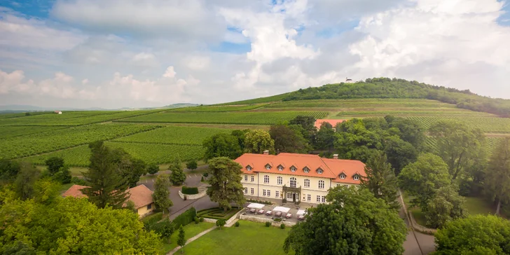 Luxusný oddych v historickom kaštieli uprostred viníc Tokaja: Polpenzia nabitá miestnymi dobrotami aj welcome drink