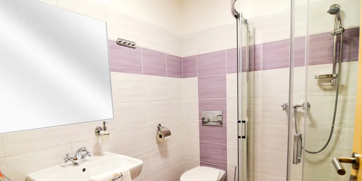 Relax pri Pálave: pobyt na južnej Morave s raňajkami alebo polpenziou a s wellness aj masážou