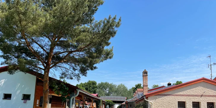 Lednice: skvelá dovolenka s polpenziou, vínom aj jazdou kočom po zámockom parku