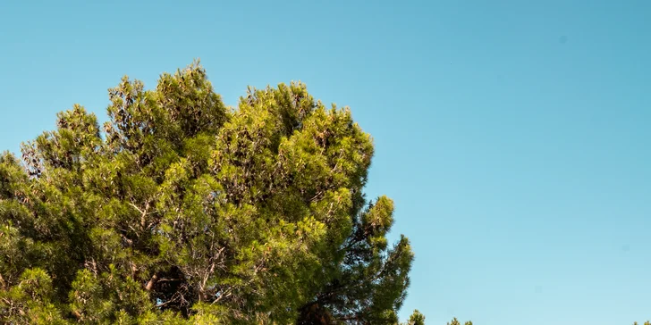 Chorvátsko: obľúbený hotel s bazénom priamo pri pláži, plná penzia a množstvo aktivít, 2 deti zadarmo