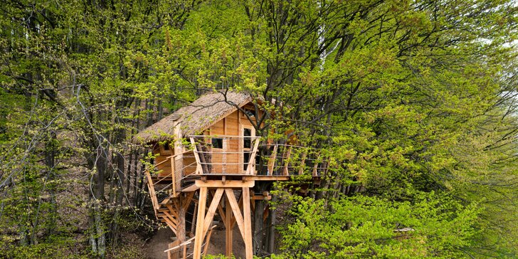 Útulný domček na strome: zážitkové ubytovanie obklopené Národným parkom Muránska planina