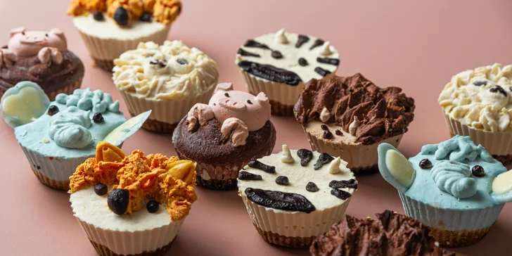Lahodné a zdravé RAW Cupcakes: osobný odber alebo rozvoz
