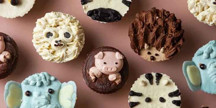 Lahodné a zdravé RAW Cupcakes: osobný odber alebo rozvoz