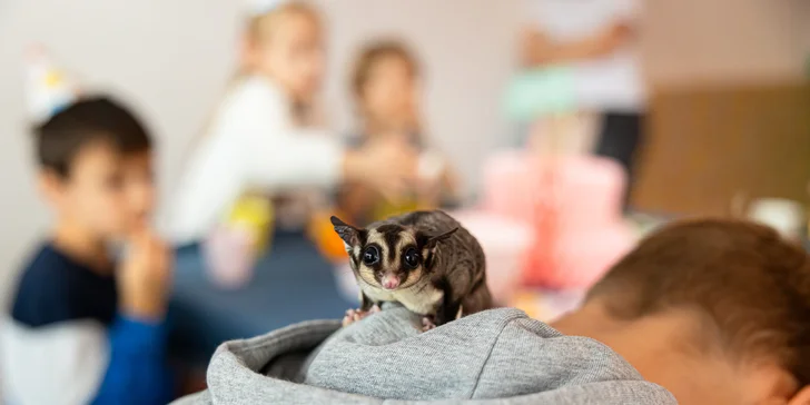 Narodeninové oslavy pre deti s animátormi a občerstvením