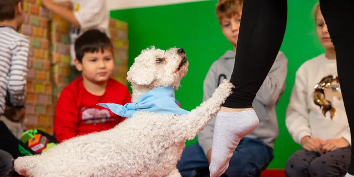 Narodeninové oslavy pre deti s animátormi a občerstvením