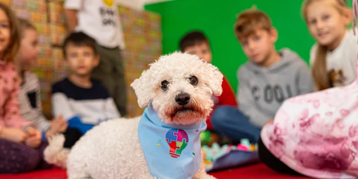 Narodeninové oslavy pre deti s animátormi a občerstvením