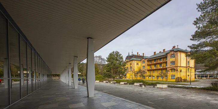 Dovolenka v Bardejovských kúpeľoch v hoteli Alexander **** s plnou penziou, procedúrami a neobmedzeným wellness