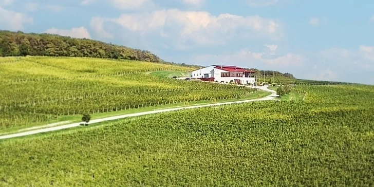 Someliérom riadená degustácia 10 vín s prehliadkou vinohradov s večerou pre 2 osoby či sadou produktov