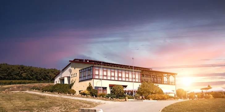 Someliérom riadená degustácia 10 vín s prehliadkou vinohradov s večerou pre 2 osoby či sadou produktov