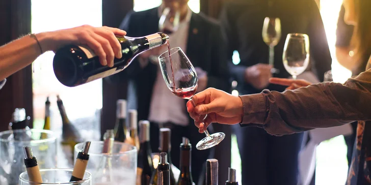 Someliérom riadená degustácia 10 vín s prehliadkou vinohradov s večerou pre 2 osoby či sadou produktov