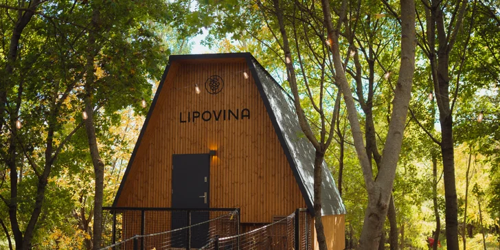 Nezabudnuteľný pobyt vo vínnej dedinke v korunách stromov na Zemplíne: raňajkový košík aj privátne wellness