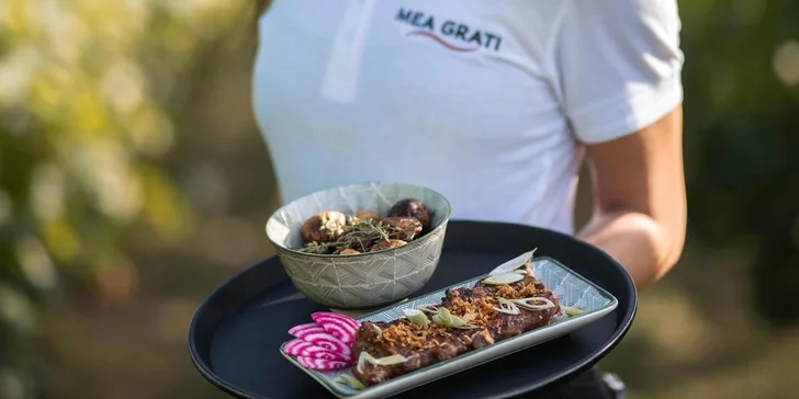Someliérom riadená degustácia 10 vín s prehliadkou vinohradov s večerou pre 2 osoby či sadou produktov