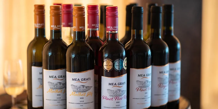 Someliérom riadená degustácia 10 vín s prehliadkou vinohradov s večerou pre 2 osoby či sadou produktov