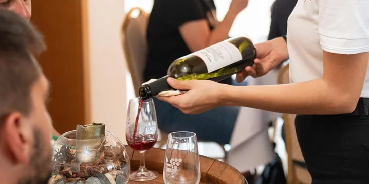 Someliérom riadená degustácia 10 vín s prehliadkou vinohradov s večerou pre 2 osoby či sadou produktov