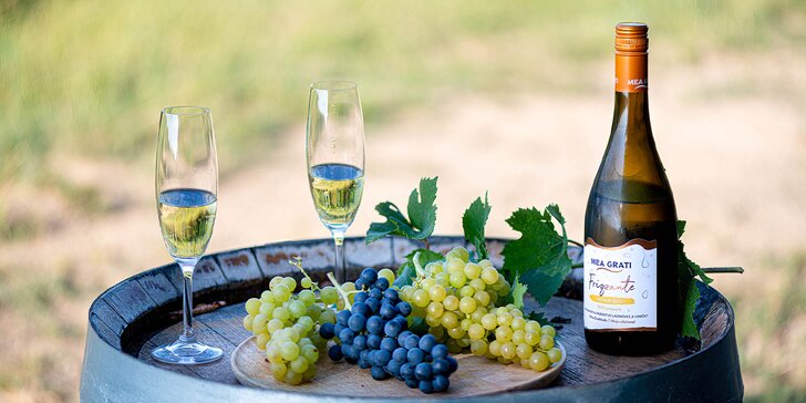 Someliérom riadená degustácia 10 vín s prehliadkou vinohradov s večerou pre 2 osoby či sadou produktov