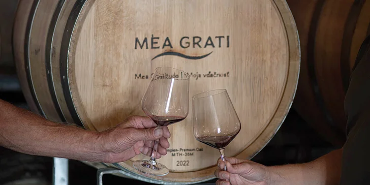 Someliérom riadená degustácia 10 vín s prehliadkou vinohradov s večerou pre 2 osoby či sadou produktov