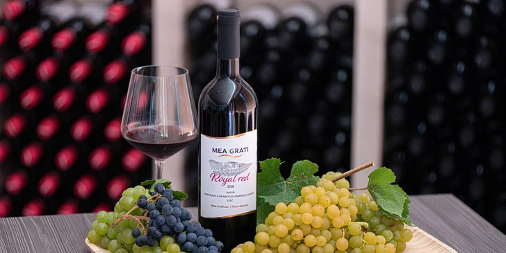 Someliérom riadená degustácia 10 vín s prehliadkou vinohradov s večerou pre 2 osoby či sadou produktov