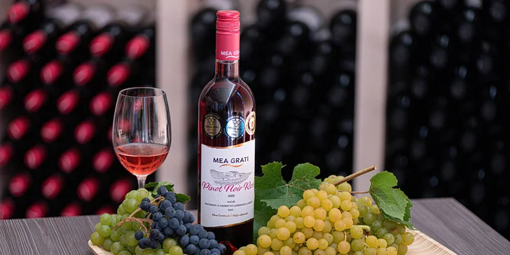Someliérom riadená degustácia 10 vín s prehliadkou vinohradov s večerou pre 2 osoby či sadou produktov
