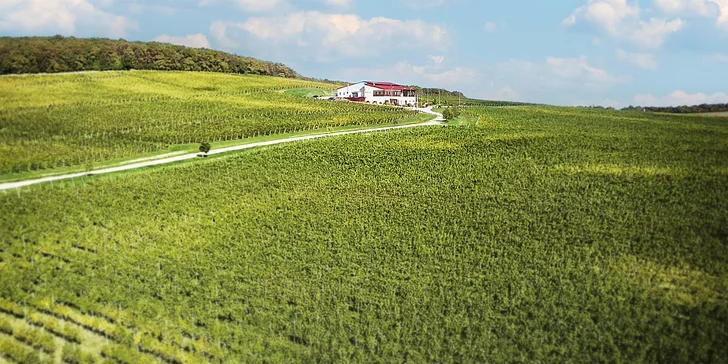 Someliérom riadená degustácia 10 vín s prehliadkou vinohradov s večerou pre 2 osoby či sadou produktov
