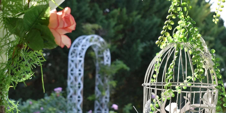 Jednodňový výlet do Rakúska: Medzinárodná výstava orchideí, prehliadka čokoládovne aj nákupy