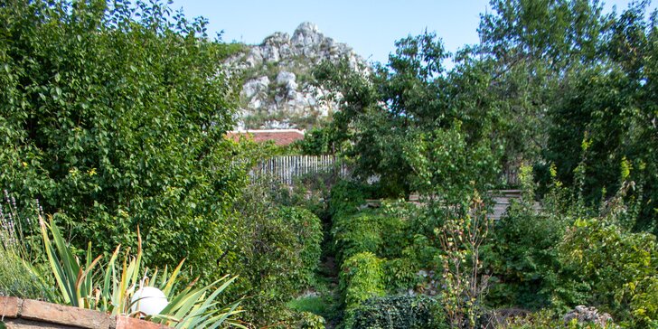 Historický penzión priamo pod Sv. kopčekom v Mikulove: výhľad na zámok aj degustácia vín