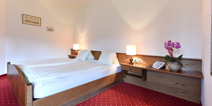 4* hotel v Alpách: polpenzia, wellness, zjazdovka pri hoteli a až 2 deti zdarma