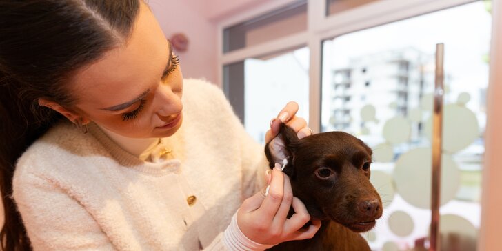 Kúpacie a liečivé terapie pre psích miláčikov v salóne u Voňavej Packy