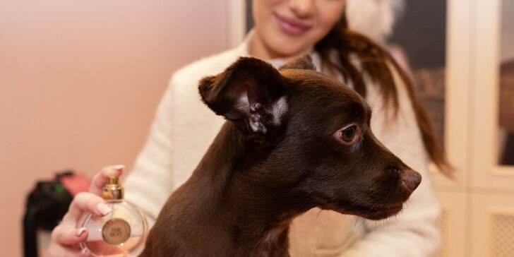 Kúpacie a liečivé terapie pre psích miláčikov v salóne u Voňavej Packy