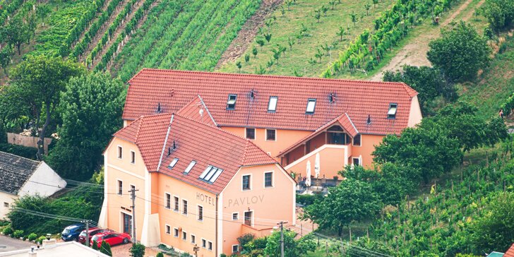 Oddych vo viniciach na južnej Morave: pobyt s polpenziou pre páry alebo rodiny