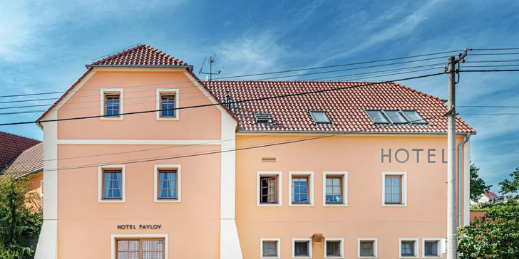 Oddych vo viniciach na južnej Morave: pobyt s polpenziou pre páry alebo rodiny