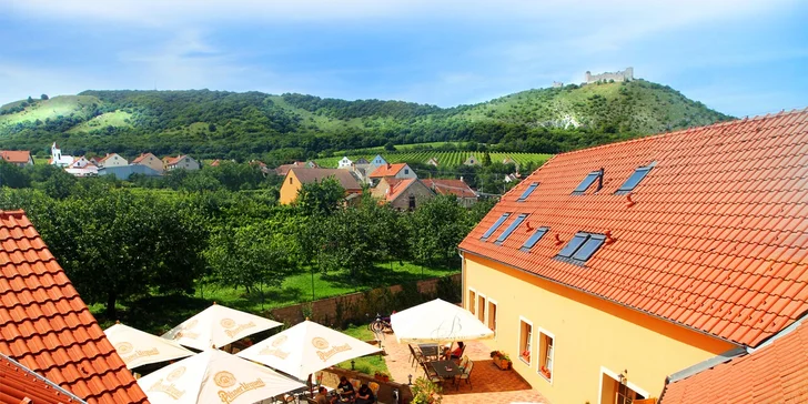 Oddych vo viniciach na južnej Morave: pobyt s polpenziou pre páry alebo rodiny