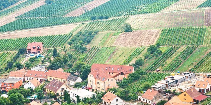 Oddych vo viniciach na južnej Morave: pobyt s polpenziou pre páry alebo rodiny