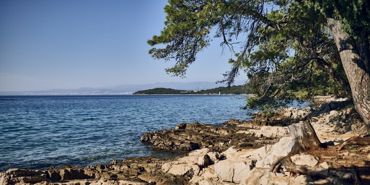 Dovolenka na chorvátskom ostrove Krk: moderne vybavené apartmány, kúsok od mora