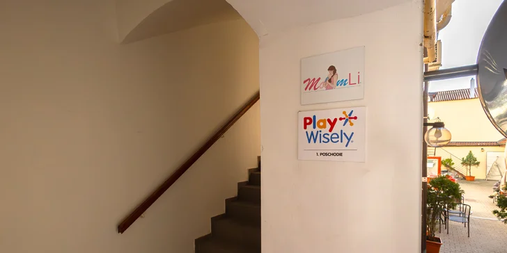 Play Wisely: Rozvoj vášho dieťatka unikátnou metódou