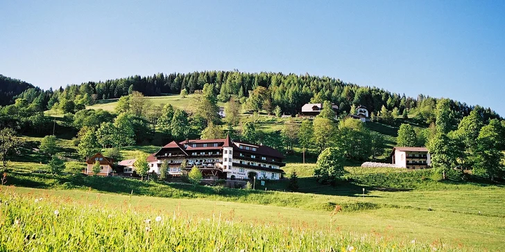 4* hotel v Alpách: polpenzia, wellness aj 2 deti zdarma