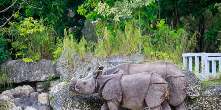 Nový moderný hotel v Mníchove s raňajkami a vstupenkou do zoo