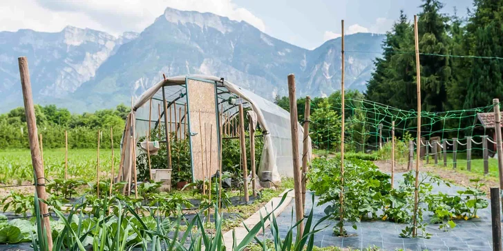 Wellness pobyt s plnou penziou v talianskych Alpách: hotel s bio záhradou, bazénom a spa pri Terme di Levico