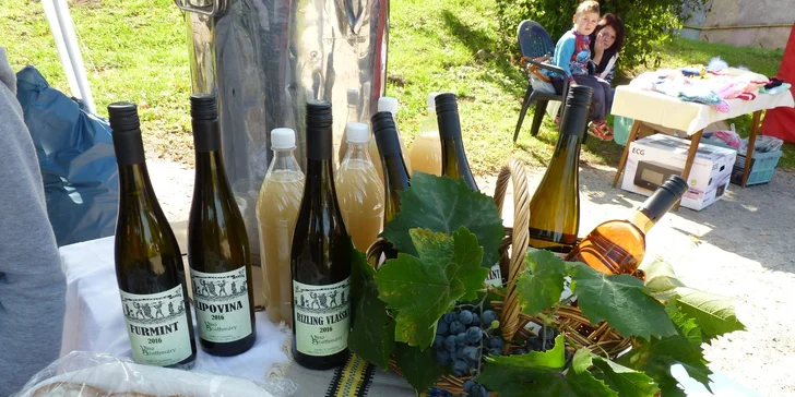 Májový festival gazdovských vín v Malej Tŕni 2025 - zažite chuť Tokaja