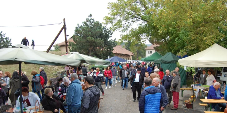 Májový festival gazdovských vín v Malej Tŕni 2025 - zažite chuť Tokaja