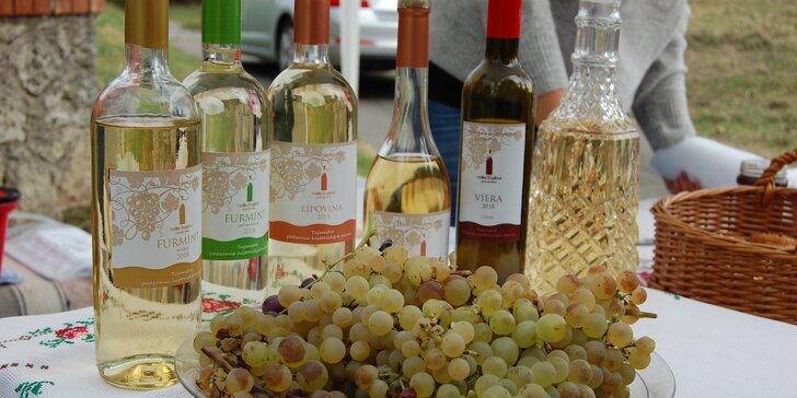 Májový festival gazdovských vín v Malej Tŕni 2024 - zažite chuť Tokaja