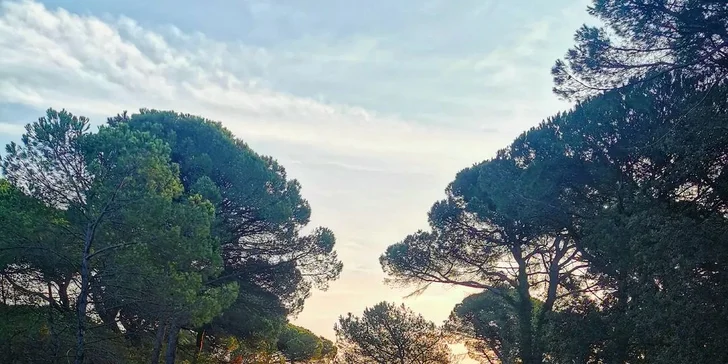 Cervia pri Rimini: 4* hotel pri pláži, vonkajší bazén a k tomu raňajky či polpenzia