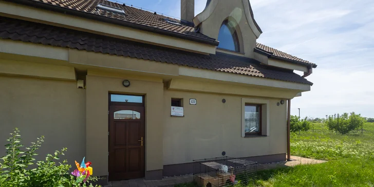 Denné letné tábory plné pohybu, kreativity a zvieratiek