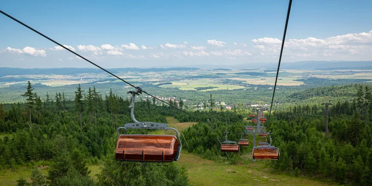 Pobyt vo Vile Borievka*** v centre Tatranskej Lomnice