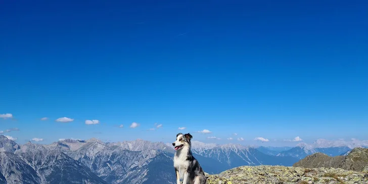 Tirolské Alpy s raňajkami či polpenziou, wellness a turistickou kartou
